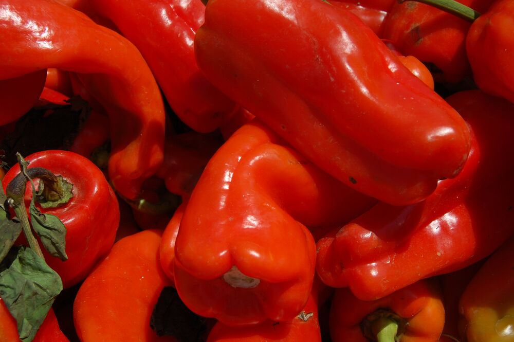 Cubanelle Pepper Substitute: 10 Delicious Alternatives You Can Try